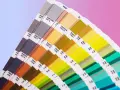 Próbnik kolorów Pantone, prezentujący bogactwo barw od brązów po zielenie i błękity, stanowi praktyczne narzędzie do zgłębiania teorii koloru.
