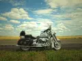 Srebrny motocykl Harley-Davidson na poboczu drogi, gotowy na odkrywanie **tras motocyklowych Czechy**.