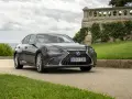 Elegancki, ciemnoszary Lexus 300h na tle kamiennego muru porośniętego bluszczem i zielonej trawy.
