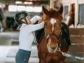 Une cavalière ajuste la selle de son cheval dans une **structure équestre**.