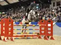 Un cheval blanc, un véritable con air etalon, saute une barrière colorée sous les regards d'une foule attentive.