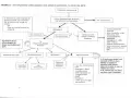 Ce schéma illustre la différence entre signalement et information préoccupante, montrant le parcours d'une information jusqu'à une action de protection.