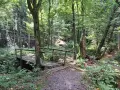 Drewniany mostek na leśnej ścieżce w Sieradowickim Parku Krajobrazowym. Szlaki turystyczne prowadzą przez bujną zieleń.