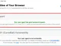 Browser test shows good protocol support, with TLS 1.2 and 1.3 enabled, and no CVE-2020-0601 vulnerability.