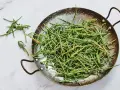 Un plat rempli de salicorne fraîche, un légume marin aux nombreux bienfaits pour la santé, prêt à être cuisiné.