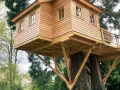 Ein wunderschönes Baumhaus, das auf zwei alten Bäumen gebaut wurde. Die Holzkonstruktion ist solide und einladend.