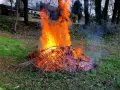 Duży ogień z gałęzi płonie na trawie. Czy można palić gałęzie na działce? Dym unosi się w powietrzu.