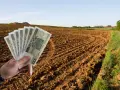 Dłoń trzyma banknoty 100 zł na tle zaoranego pola. Zastanawiasz się, ile kosztuje ar ziemi rolnej?
