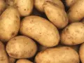 Un montón de patatas amarillas con manchas marrones. Descubre el patata valor nutricional 100g.