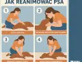 Reanimacja szczeniaka: Ratuj życie! Instrukcja RKO krok po kroku