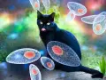 Czarny kot otoczony przez pasożyty Toxoplasma gondii. Obraz ilustruje toksoplazmozę u kota.
