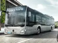 Co to jest bus? Poznaj różnice między busem a innymi pojazdami