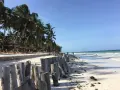 Piękna plaża na Zanzibarze, z palmami, białym piaskiem i turkusową wodą. Widać drewniane pale, które chronią brzeg przed odpływami.