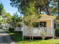 Uroczy camping Rialto z domkami letniskowymi w otoczeniu drzew.