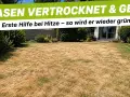 Brauner, vertrockneter Rasen braucht dringend Wasser. Mit regelmäßigem **rasen sprengen** wird er bald wieder grün.