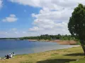 Sonniger Tag am Muldestausee. Menschen entspannen am Ufer, Boote liegen im Wasser. Perfekt zum Baden und Genießen.