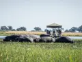 Grupa hipopotamów, zwanych też słoniami wodnymi, odpoczywa w płytkiej wodzie. Obok nich przepływa łódź z turystami.