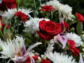 Bukiet z czerwonymi różami i białymi chryzantemami, kwiaty symbolizujące śmierć, w tym lilie.