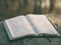 Otwarta Biblia leży na kamieniu, gotowa do czytań na ślub.