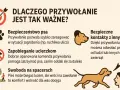 Dlaczego przywołanie jest tak ważne? Bezpieczeństwo, zapobieganie ucieczkom, swoboda na spacerach i bezpieczne kontakty z innymi. Przyjdź do mnie, mój psie!