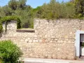 Un mur en pierre extérieur, avec des pierres irrégulières et du mortier, attend de restaurer son charme ancien. La végétation s'y accroche.