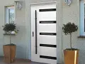 Nowoczesne delta drzwi zewnętrzne z białym panelem i czarnymi wstawkami, po bokach okna i ozdobne drzewka w donicach.