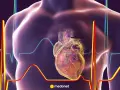 Anatomical serce, widoczne na tle wykresów EKG, znajduje się po lewej stronie klatki piersiowej.