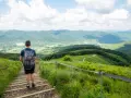 Mężczyzna z plecakiem schodzi po kamiennych schodach, podziwiając rozległe, zielone **Bieszczady góry**.
