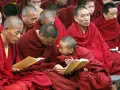 Monks in red robes study texts. Their peaceful lives, dedicated to learning, make one wonder how long do monks live.