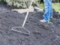Osoba w dżinsach i różowych butach używa grabi do przygotowania ziemi pod trawnik.