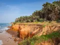 Malownicze plaże Gambii z klifami porośniętymi palmami. Oceaniczne fale rozbijają się o brzeg.