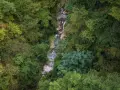 Un ruscello serpeggia tra la lussureggiante vegetazione della valle dell'Orfento, con alberi fitti e rocce bagnate.