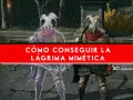 Dos guerreros de Elden Ring, uno real y otro una lagrima mimética, se preparan para el combate.