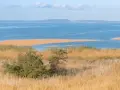 Zalew Szczeciński otoczony trzcinami, z widocznymi na horyzoncie wzgórzami.