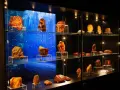 W gdańskim muzeum bursztynu można podziwiać kolekcję bursztynów, od surowych brył po przetworzone formy, prezentowane na szklanych półkach.