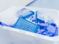 Niebieskie płytki do pipetowania i rękawiczki w pojemniku na odpady laboratoryjne. Kod odpadu 16 03 04.