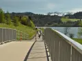 Rowerzyści na ścieżce nad jeziorem, w tle góry. Trasa Velo Czorsztyn oferuje piękne widoki.