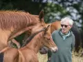 Un homme aux lunettes de soleil parle à un poulain brun, près de sa mère, dans un champ près du cap de Bonne-Espérance.