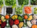 Świeże warzywa i kurczak na talerzach, idealne na helicobacter pylori dietę. Zdrowe składniki dla lepszego samopoczucia.