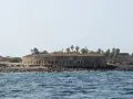 Fort d'Estrées, historyczna atrakcja Senegalu, z widokiem na ocean.