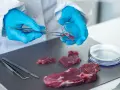 Salmonella w kuchni? 7 zasad, by jej zapobiec!