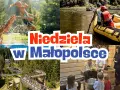 Diki: Miejsce odjazdu wycieczki kiedy i gdzie szukać info?