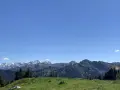 Grüne Wiesen und Wälder vor einer beeindruckenden Bergkulisse mit schneebedeckten Gipfeln. Ein herrlicher Blick von der **hohen Bleick**.