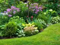 Jardín exuberante con variedad de plantas que aguantan el sol, flores moradas, azules y rojas, césped verde y arbustos bien cuidados.