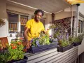 Mann bepflanzt einen Balkonkasten mit bunten Blumen. Der Mann in gelbem T-Shirt arrangiert die Pflanzen für ein schönes Ergebnis.