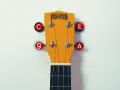 Mahalo Ukulele Kopfplatte mit Saiten C, E, G, A. Die unterschiedlichen ukulele saiten dicke sind für verschiedene Töne verantwortlich.