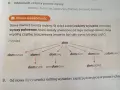 Schemat przedstawia rodzinę wyrazów z rdzeniem "dom": dom, domostwo, domek, domowy, domofon, domator, zadomowić się, domeczek, przydomowy, domatorka.