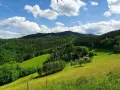 Grüne Hügel und Wälder am Hausacher Bergsteig unter blauem Himmel mit weißen Wolken. Ein Bauernhof mit roten Dächern liegt eingebettet in der Landschaft.
