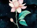 Une magnifique aquarelle sur fond noir, représentant une fleur de magnolia rose pâle avec des feuilles vertes et un petit bourgeon, le tout baignant dans une douce lumière étoilée.