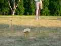 Holzfiguren für Outdoor-Spiele im Gras. Ein Spielstein ist in der Luft, bereit für das nächste Spiel.